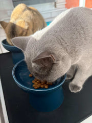 Oba Napf - Schluss mit Schlingen bei Katzen