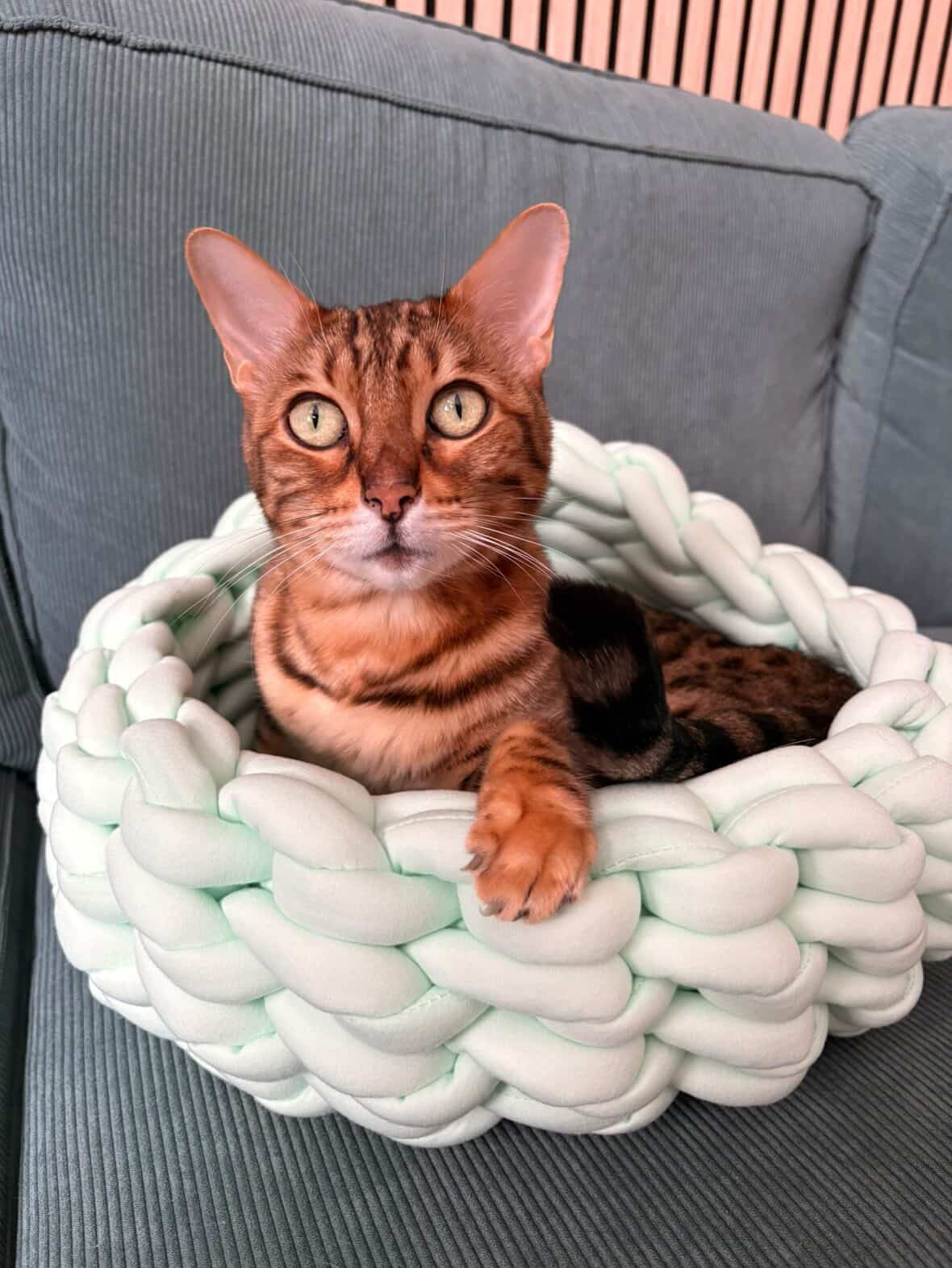 Weno Nest - Geflochtenes Ruhe- und Schlafnest für Katzen & kleine Hunde