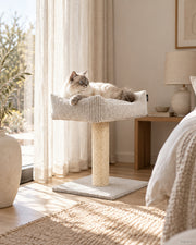 Maro Kratzbaum – mit Cord-Kuschelsofa – Lifestyle-Aufnahme (KI-generiert)